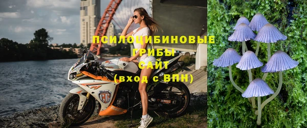 мяу мяу мука Алексеевка