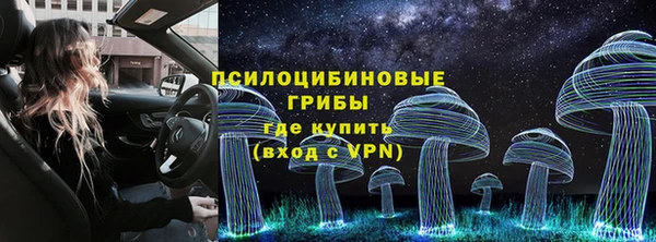 мяу мяу мука Алексеевка