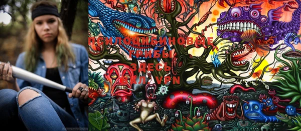 PSILOCYBIN Россошь